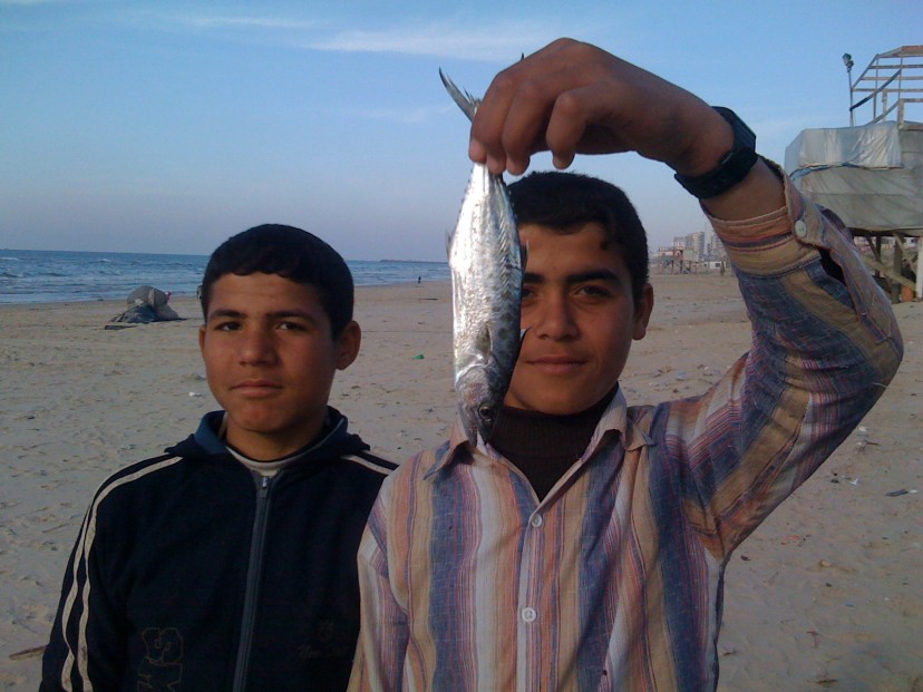 Aisheen [Still Alive in Gaza]