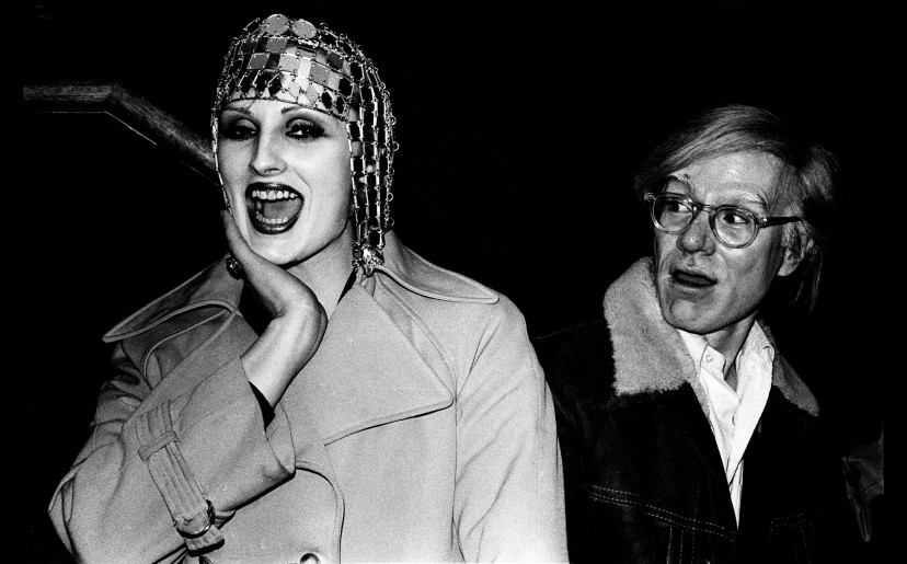 Beautiful Darling: The Life And Times Of Candy Darling, Andy Warhol Superstar